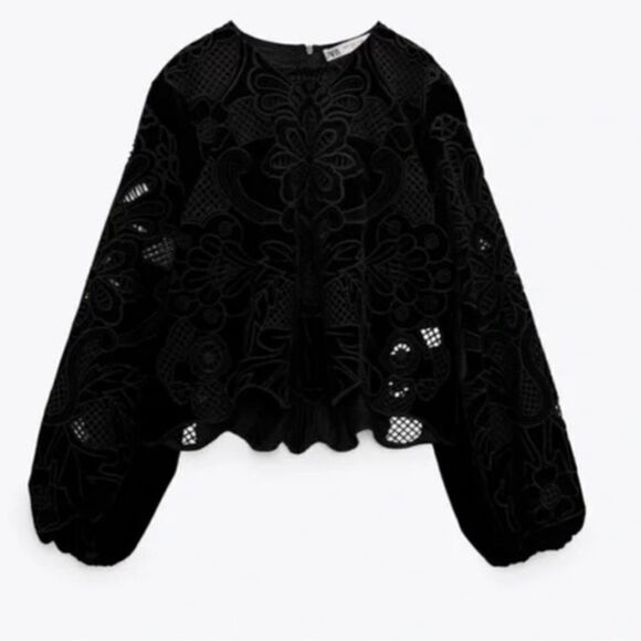 NWOT ZARA EMBROIDERED VELVET BLOUSE SZ XS - Picture 2 of 7